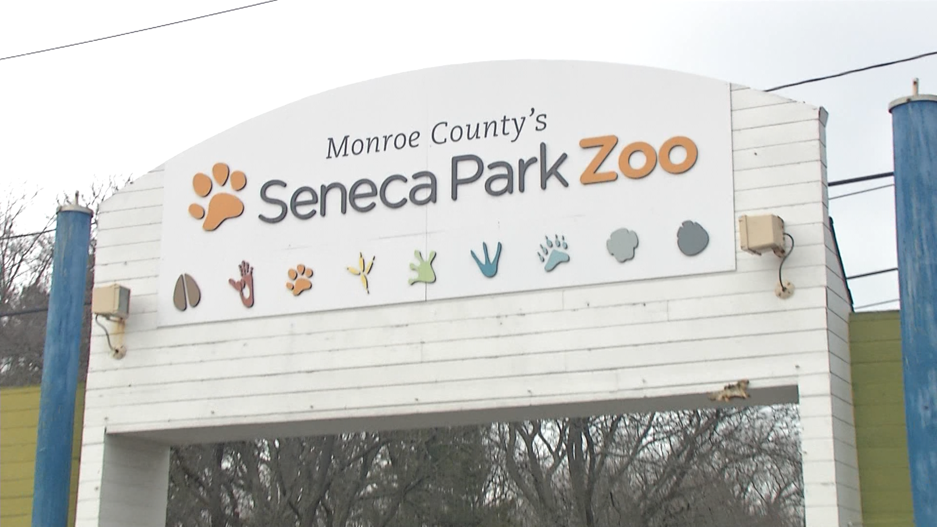 Higher construction bids pushed up the Seneca Park Zoo budget, but Monroe County Executive says the project is now locked in — Rochester Business news
